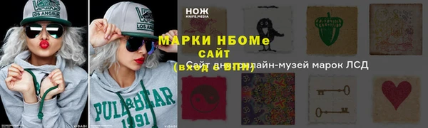 молекула духа Богородицк